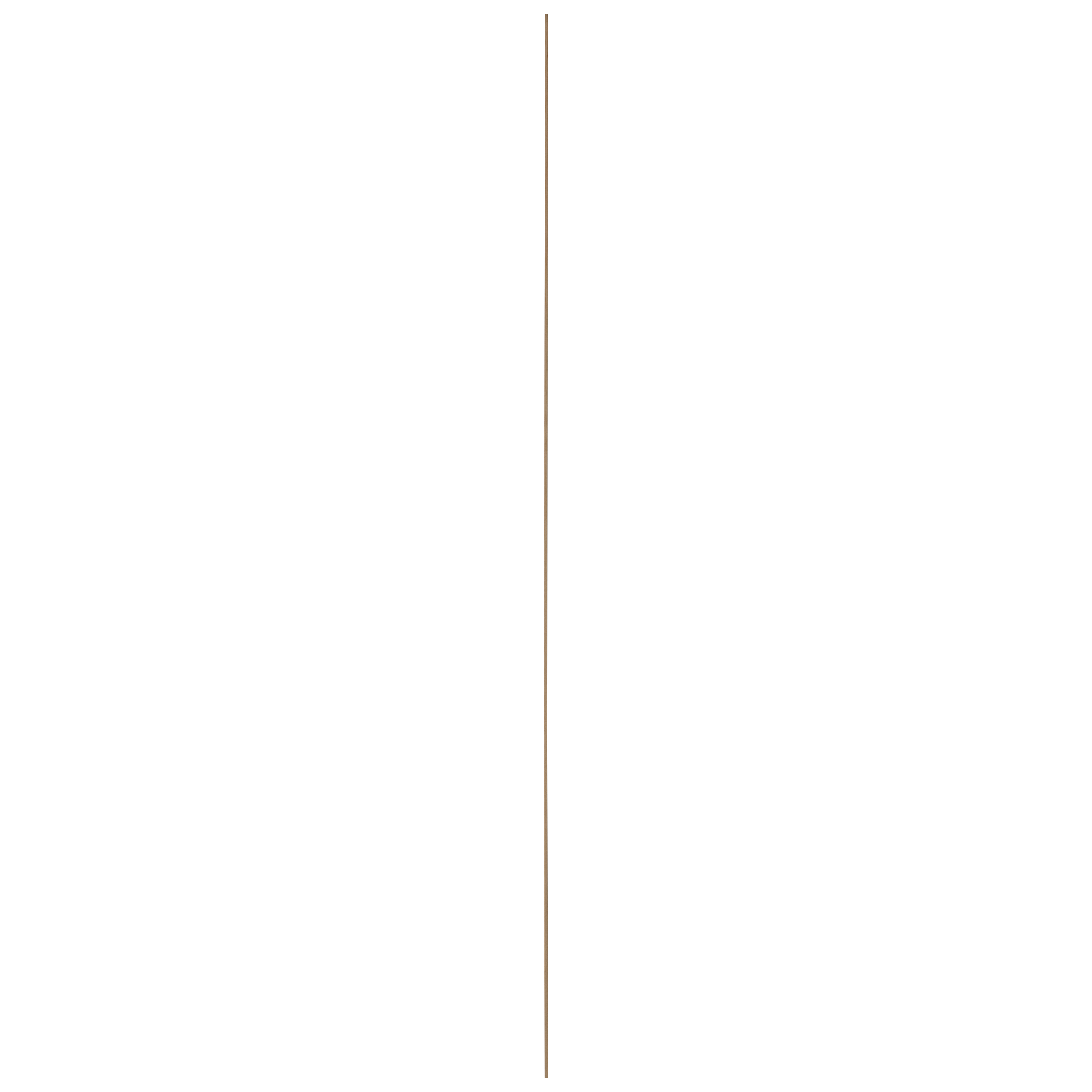 MOULURE COUVRE-JOINT PIN 4X19MM 270CM