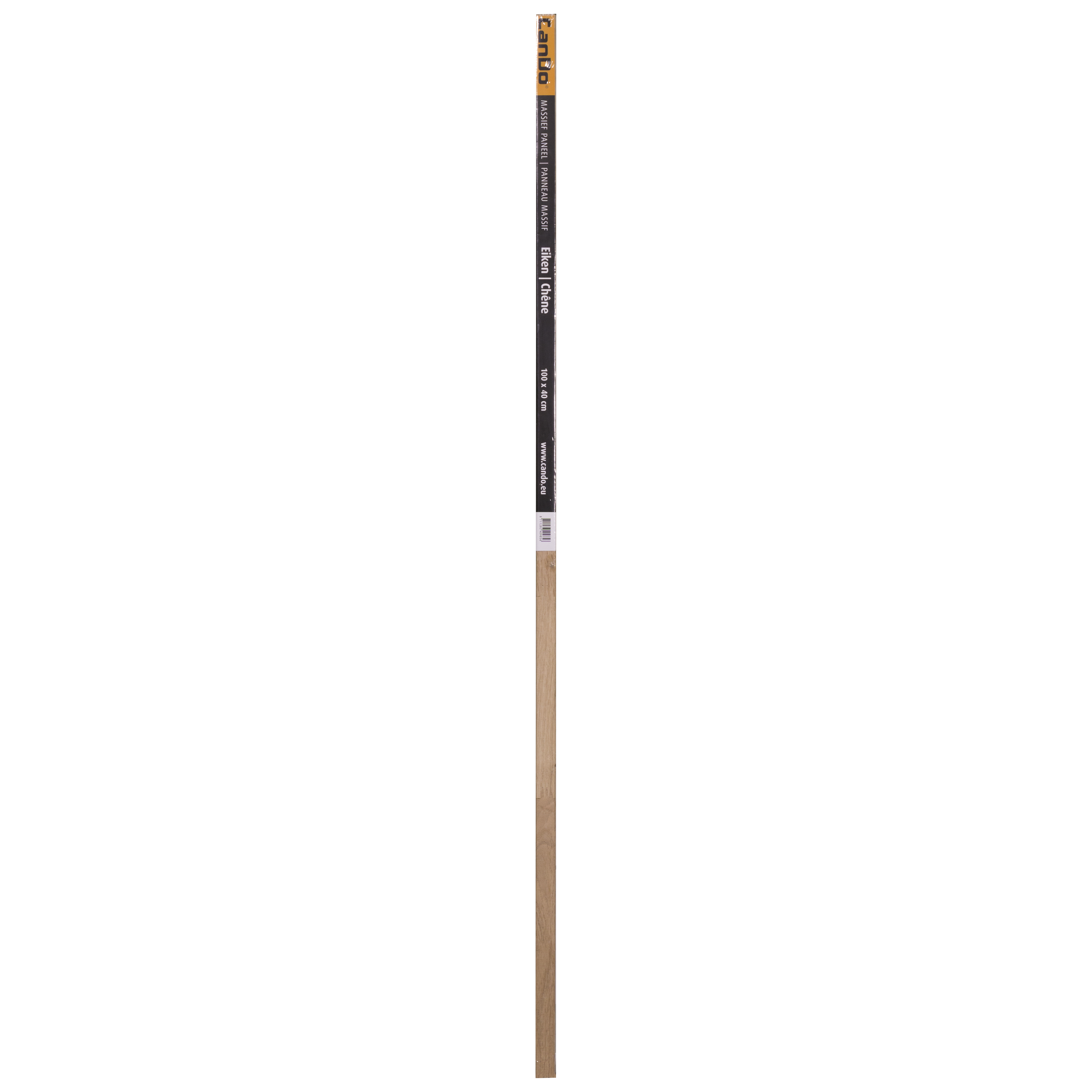 MASSIEF PANEEL EIKEN 18MM 40X100CM