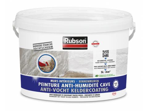Peinture Anti-humidite Cave Blanc 5l