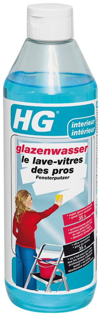 Hg Le Lave-vitres Des Pros 500ml